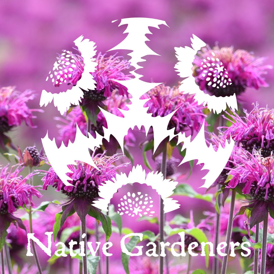 Native Gardeners logo