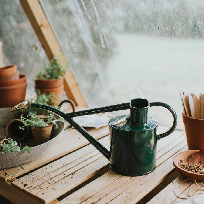 house plant watering can Haws Rowley Ripple