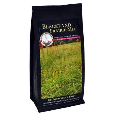 prairie plant seeds Blackland Prairie Mix