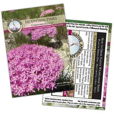 garden pinks seeds Mountain Pinks-Seed Packet – Native Gardeners
