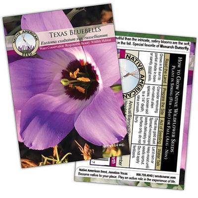 bluebell seeds from flower Texas Bluebells