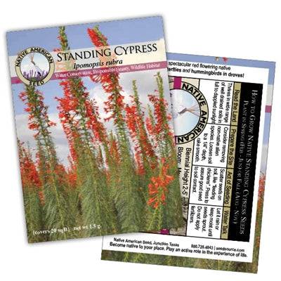 Standing Cypress - Seed Packet Native Gardeners Standing Cypress - Seed Packet Native Gardeners