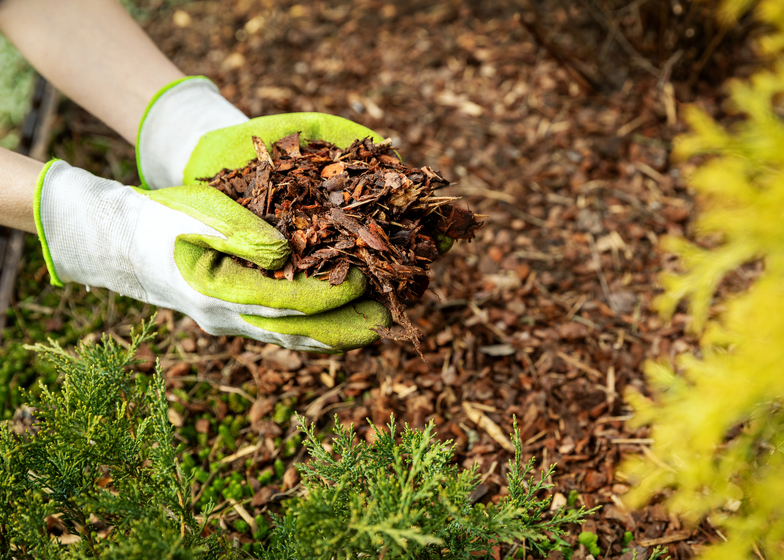 Mulch Ado About Nothing