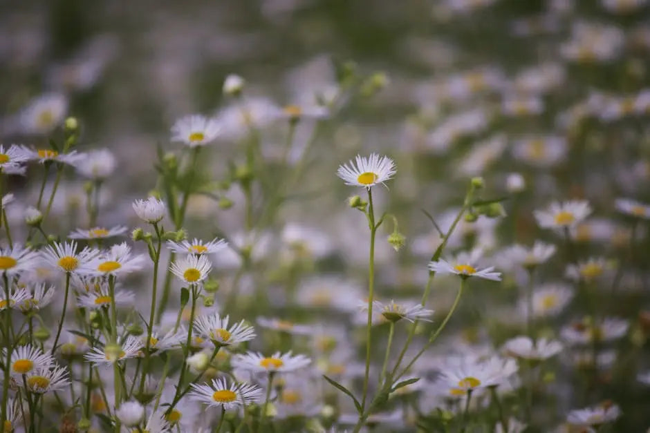 Ecological Gardening Essentials: Thriving with Texas Native Plants