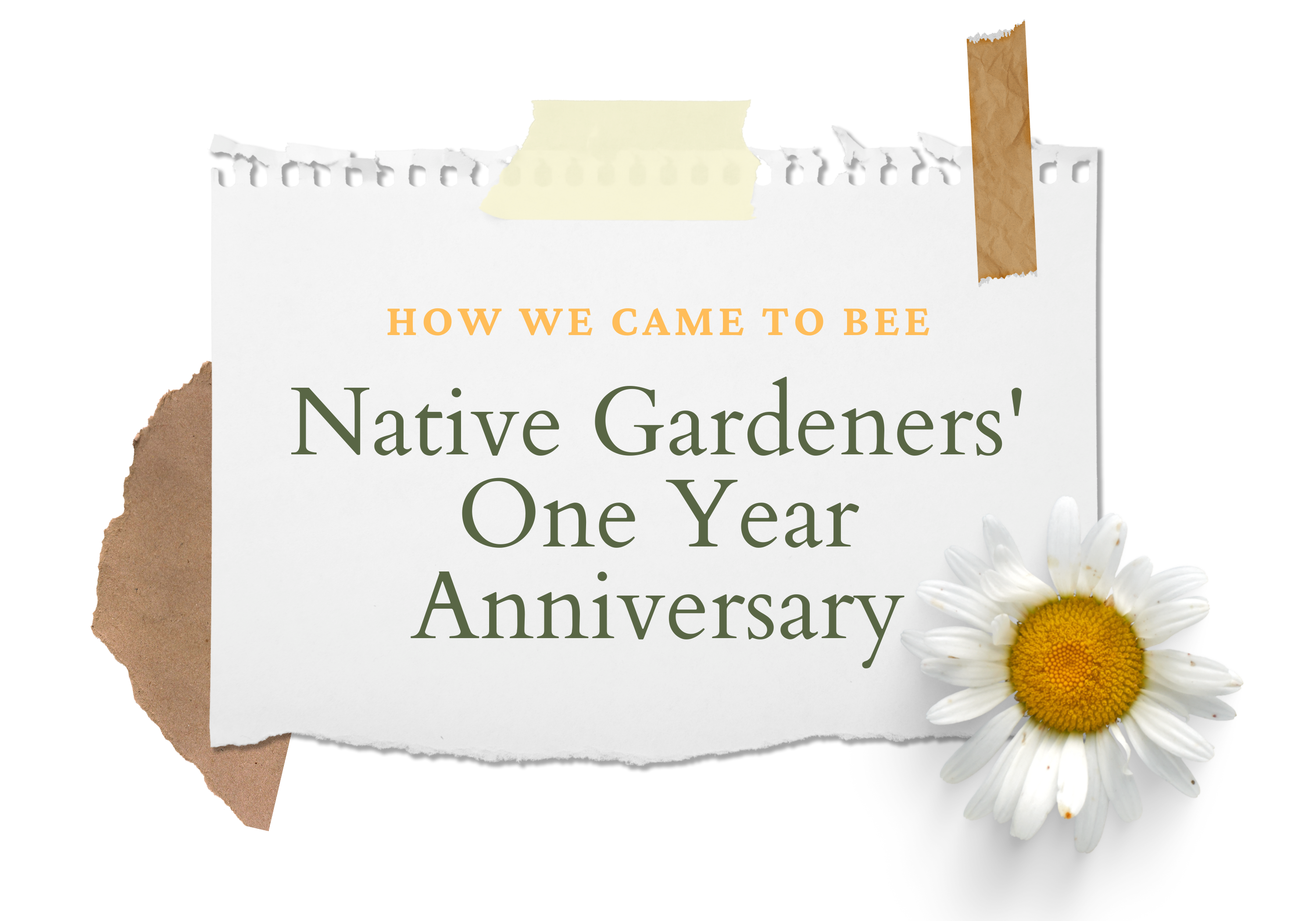 How We Came to Bee, Native Gardeners' One Year Anniversary