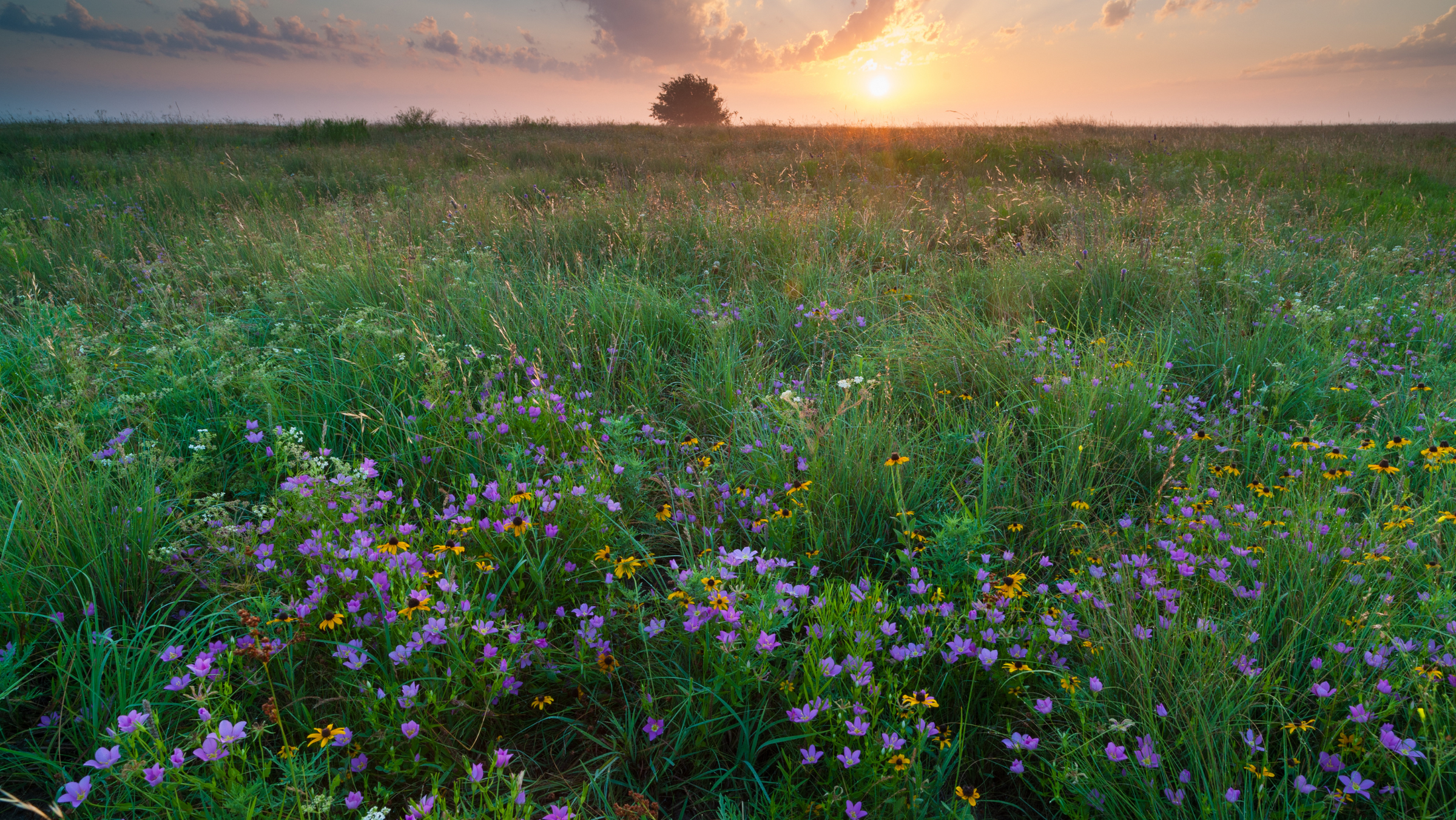 Blackland Prairie