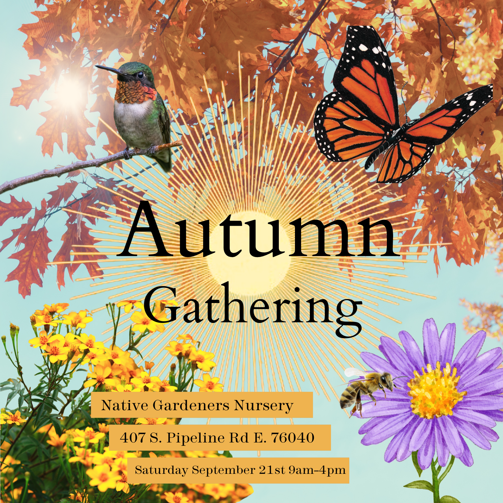 Autumn Gathering Classes