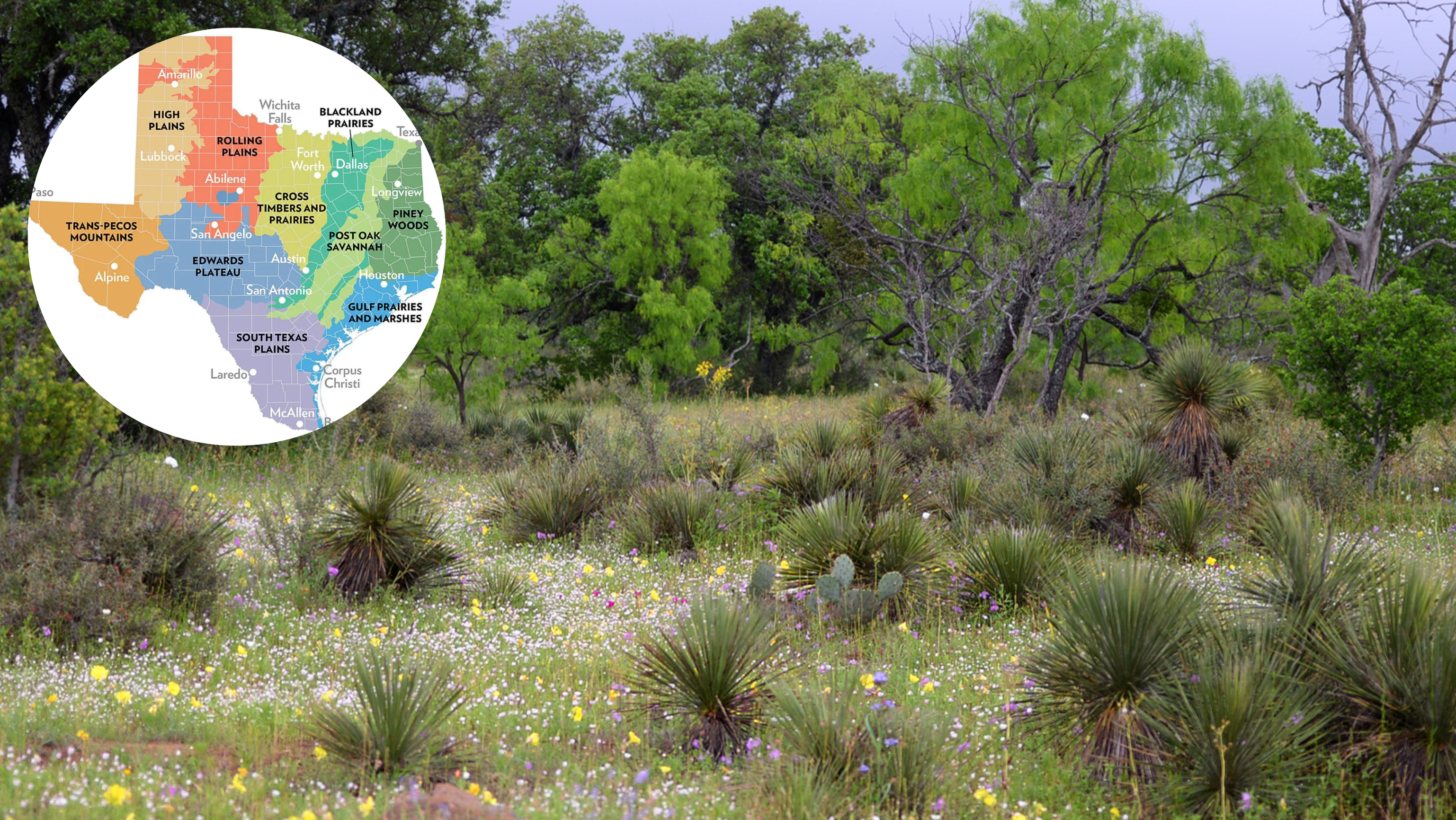 Edwards Plateau