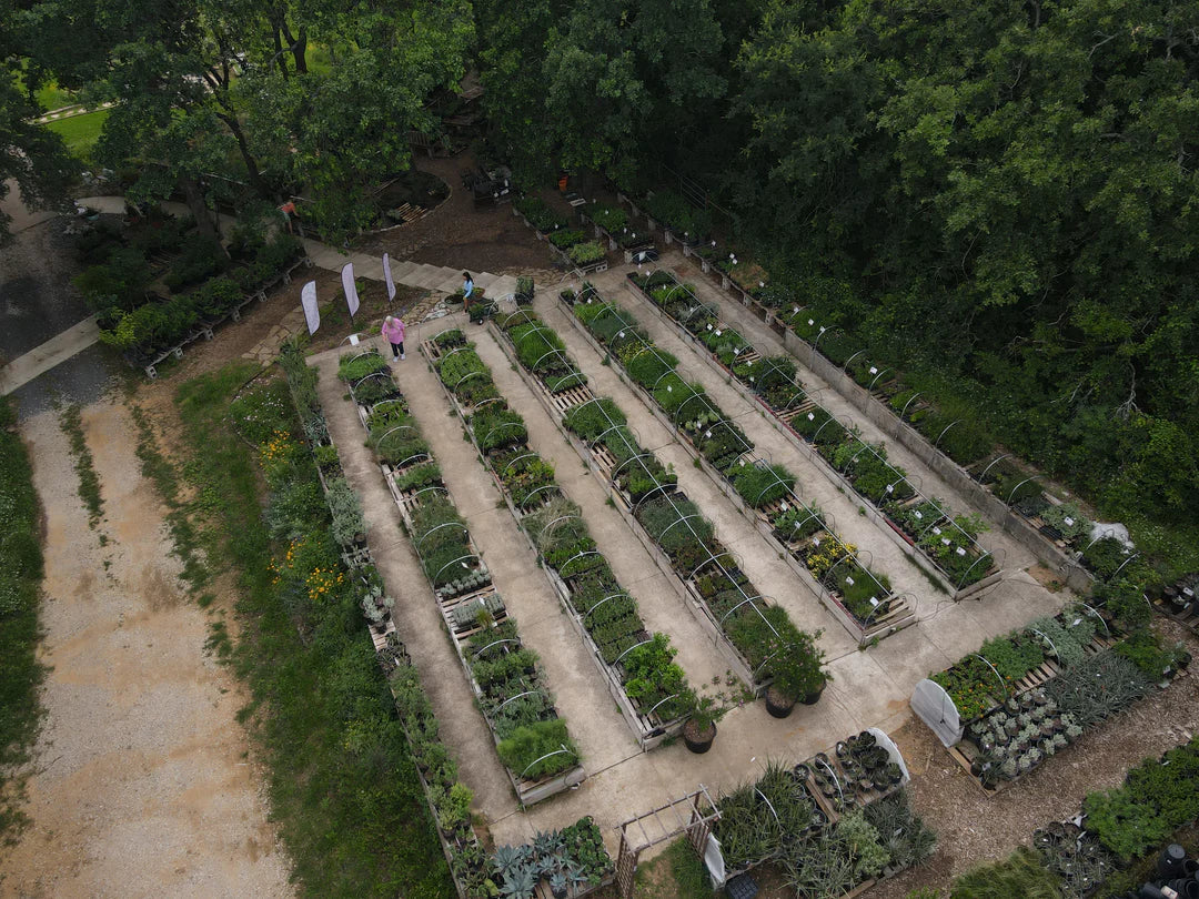 Gift Cards & Souvenirs