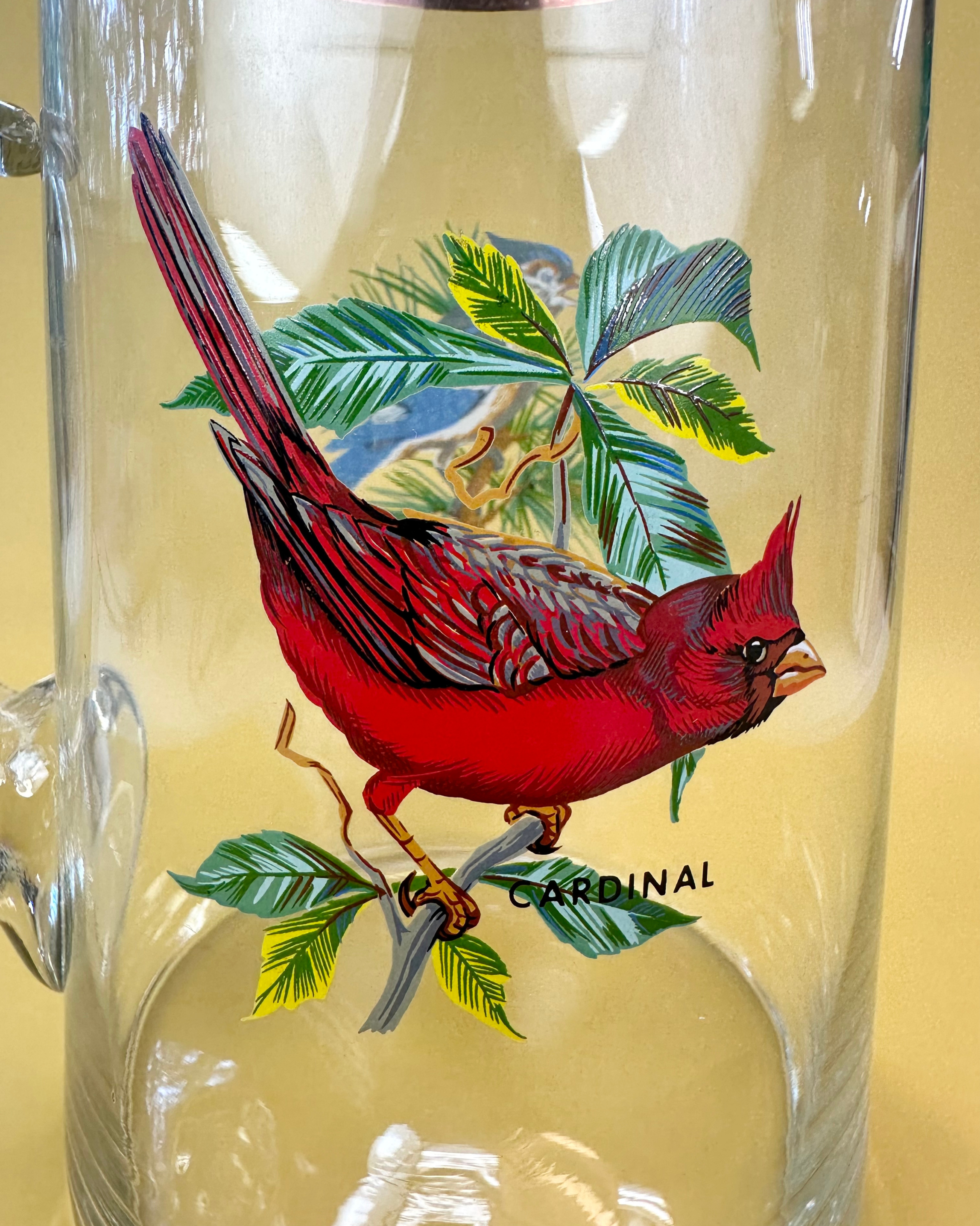 Cardinal & Blue Jay Glass Pitcher