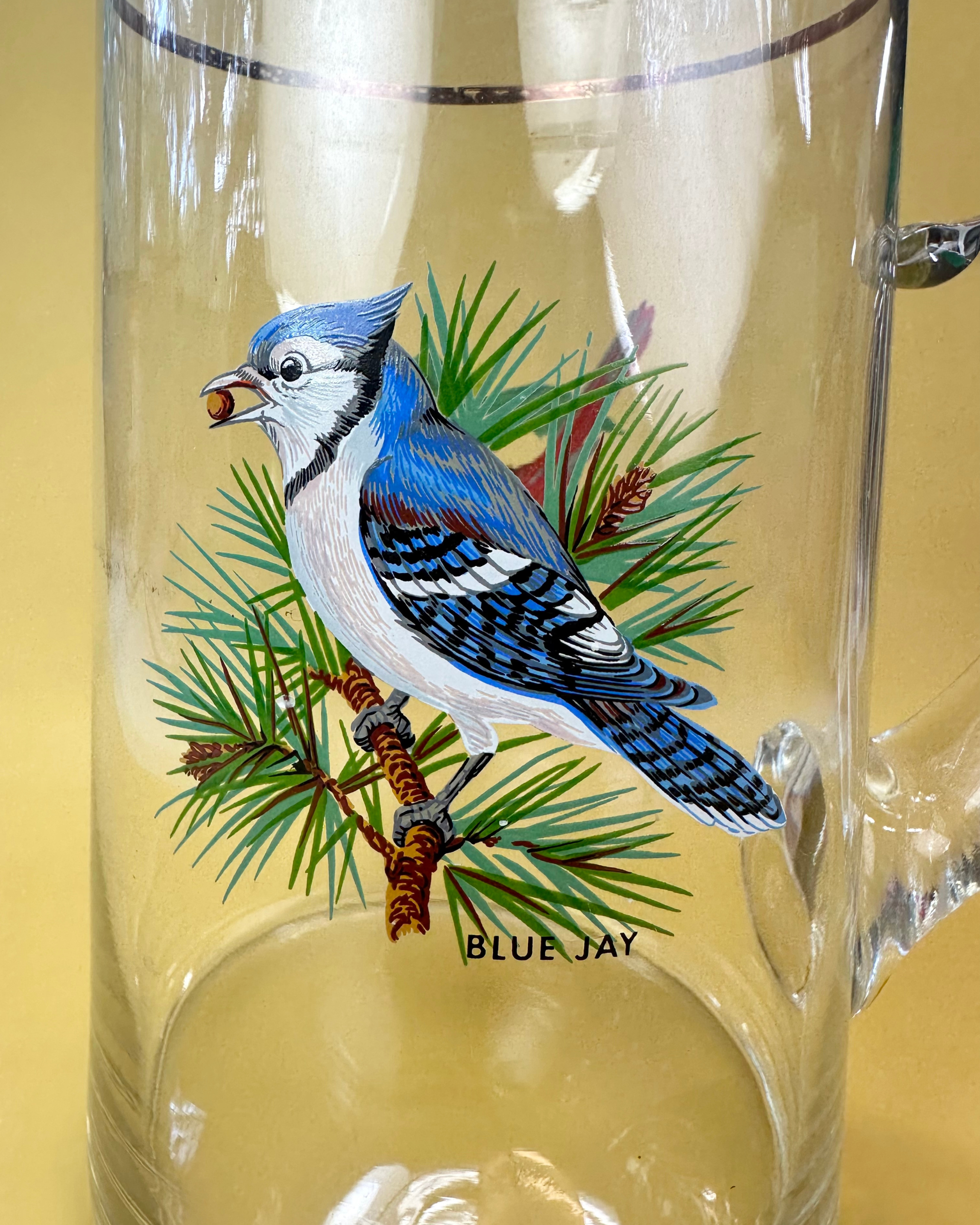 Cardinal & Blue Jay Glass Pitcher