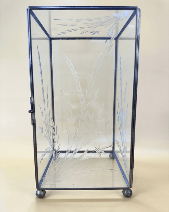 Display Case with Etched Glass - Native Gardeners