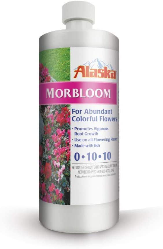 Alaska MOREBLOOM