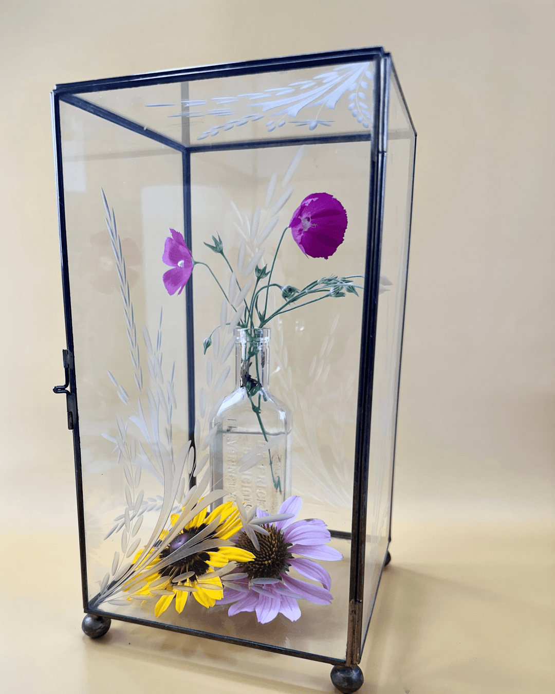 Display Case with Etched Glass - Native Gardeners