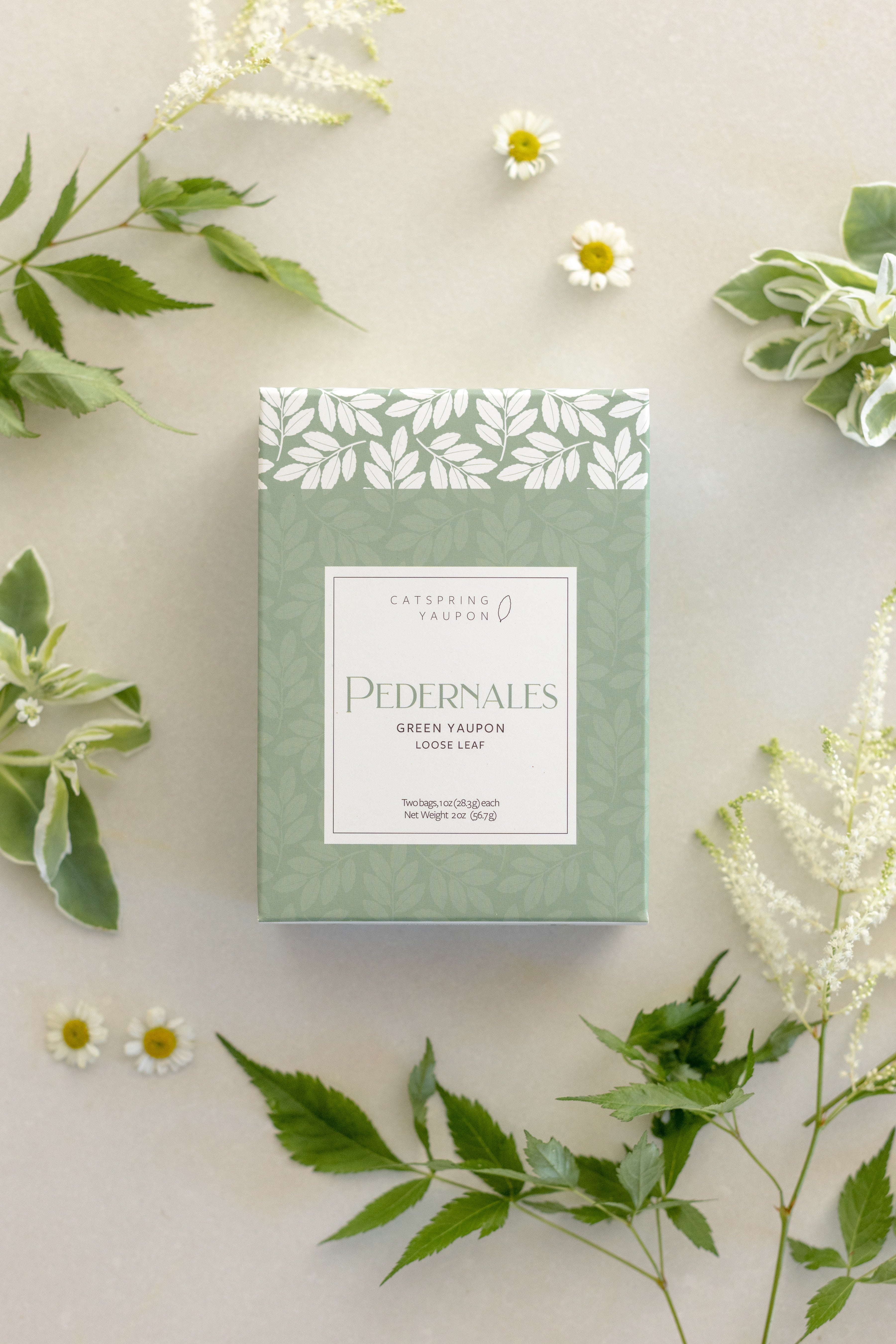Yaupon Tea : Green – Native Gardeners