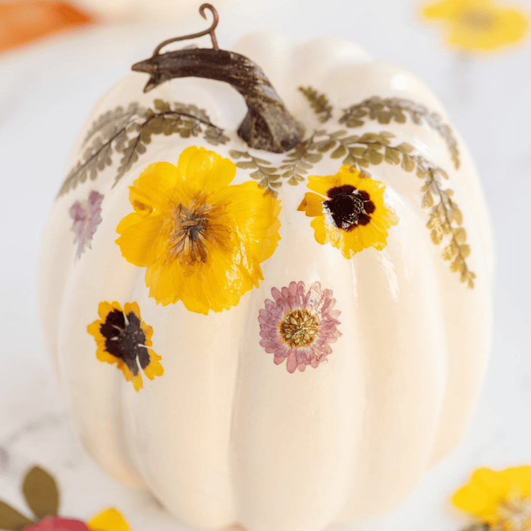 Decoupaged Dried Flower Pumpkins - Native Gardeners