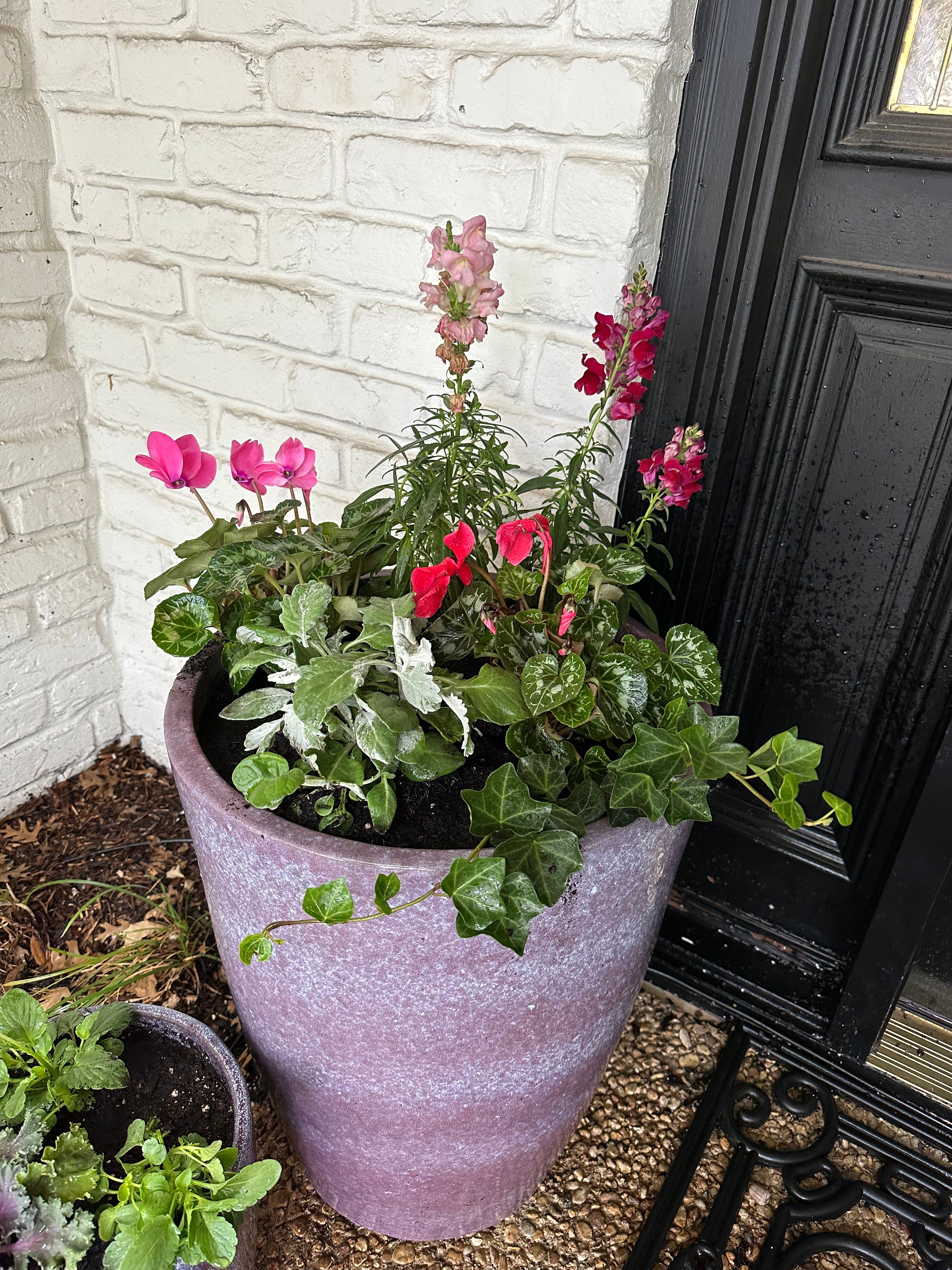 Seasonal Planters