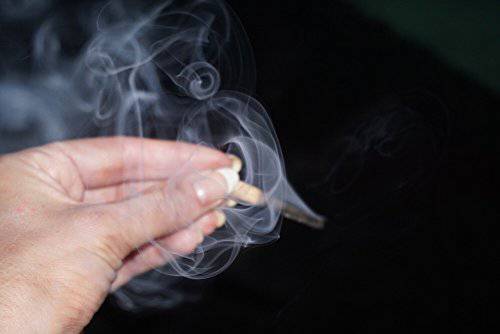 Ethically Harvested Palo Santo Matches - Native Gardeners