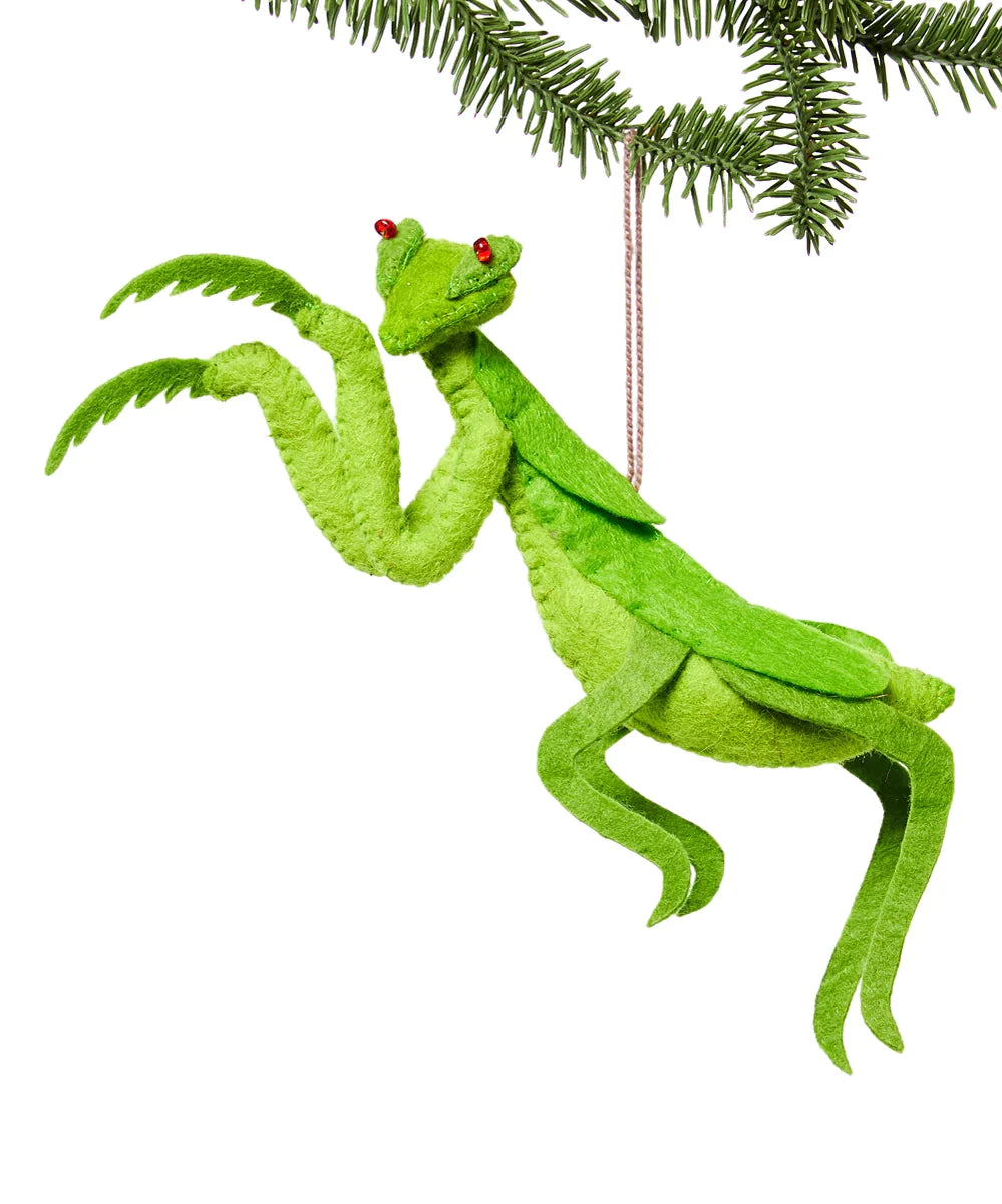 Speckled Frog Handmade Felt Ornament - Native Gardeners