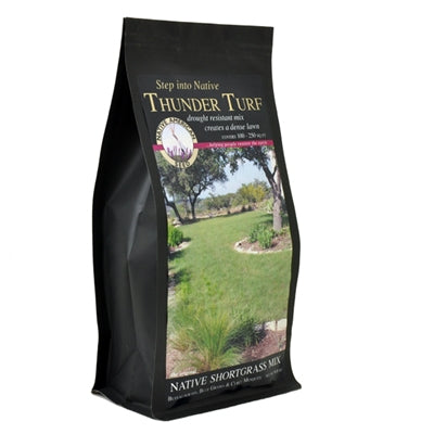 Thunder Turf Seed