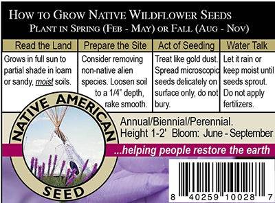 seeds to plant in june texas Texas Bluebells