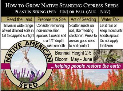 Standing Cypress - Seed Packet - Native Gardeners