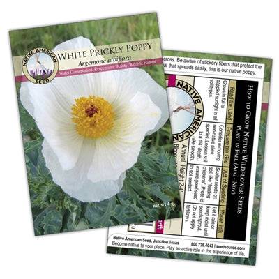 White Prickly Poppy - Seed Packet - Native Gardeners