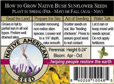 native sun seeds and plants Bush Sunflower Seed Packet
