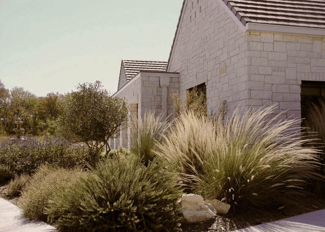 Big Muhly - Native Gardeners