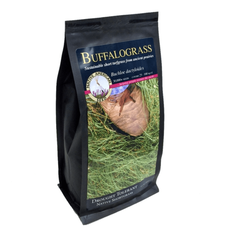 Buffalograss 3.4 oz - Native Gardeners