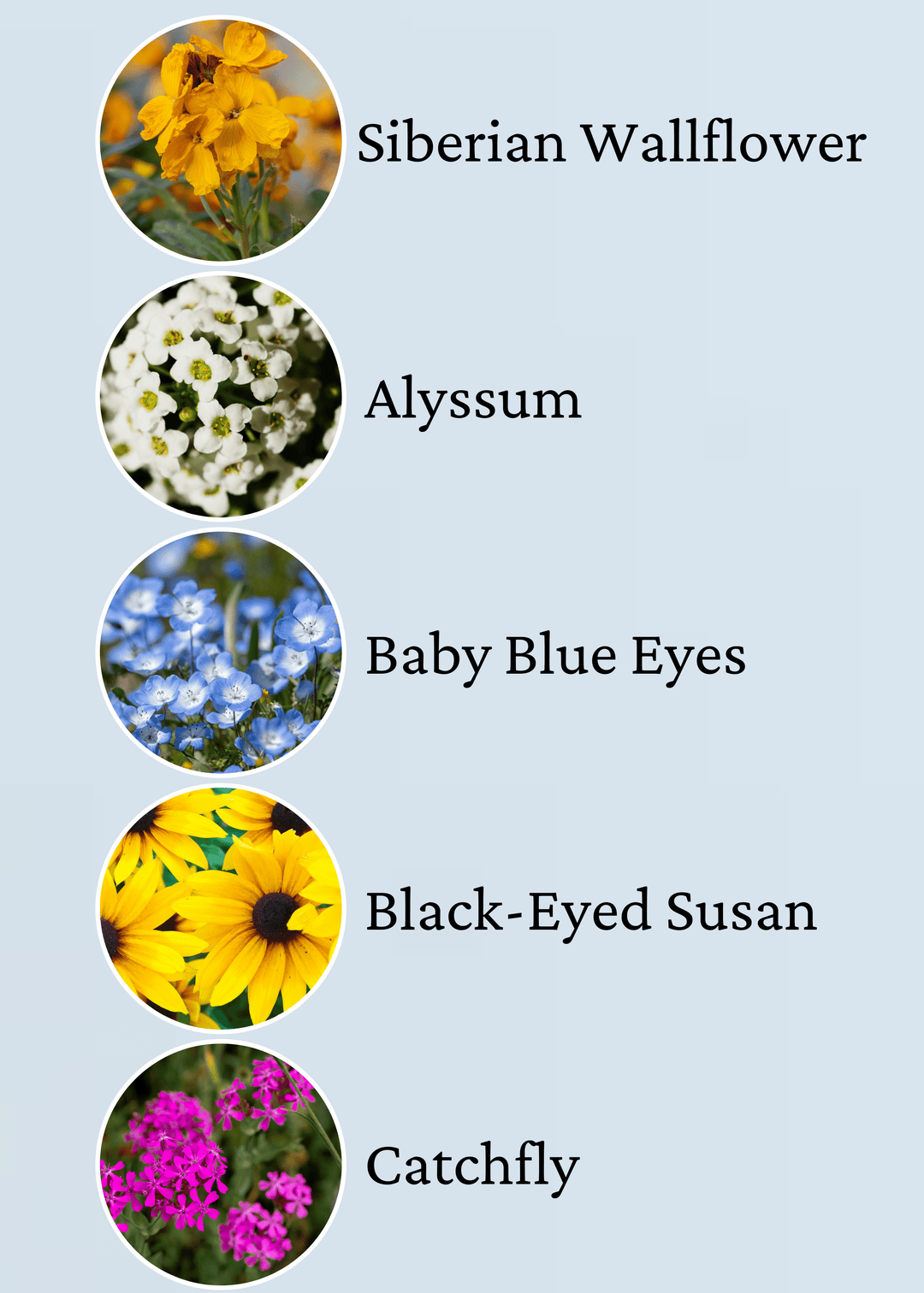 flower seed greeting cards Plantable Greeting Cards – Native Gardeners
